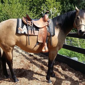 Meet your Posher, Sissy